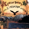 Blitzen Trapper
