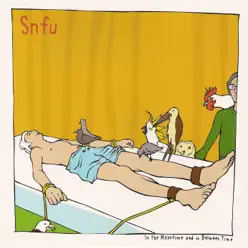 In the Meantime and In Between Time - SNFU