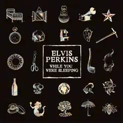 While You Were Sleeping - EP - Elvis Perkins