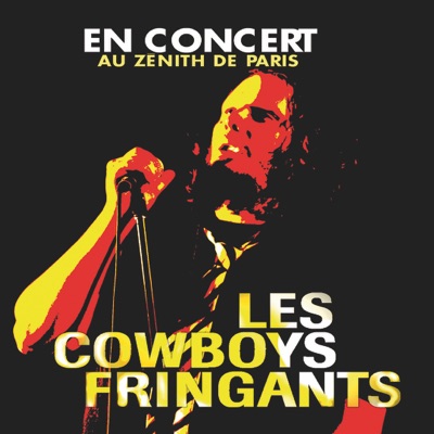 En concert au Zénith de Paris - Les Cowboys Fringants