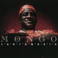 Afro American