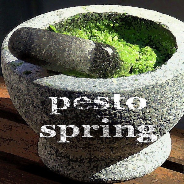Cover of Pesto Spring (Vocal Deephouse Music) [feat. Nika Brooke] - Single