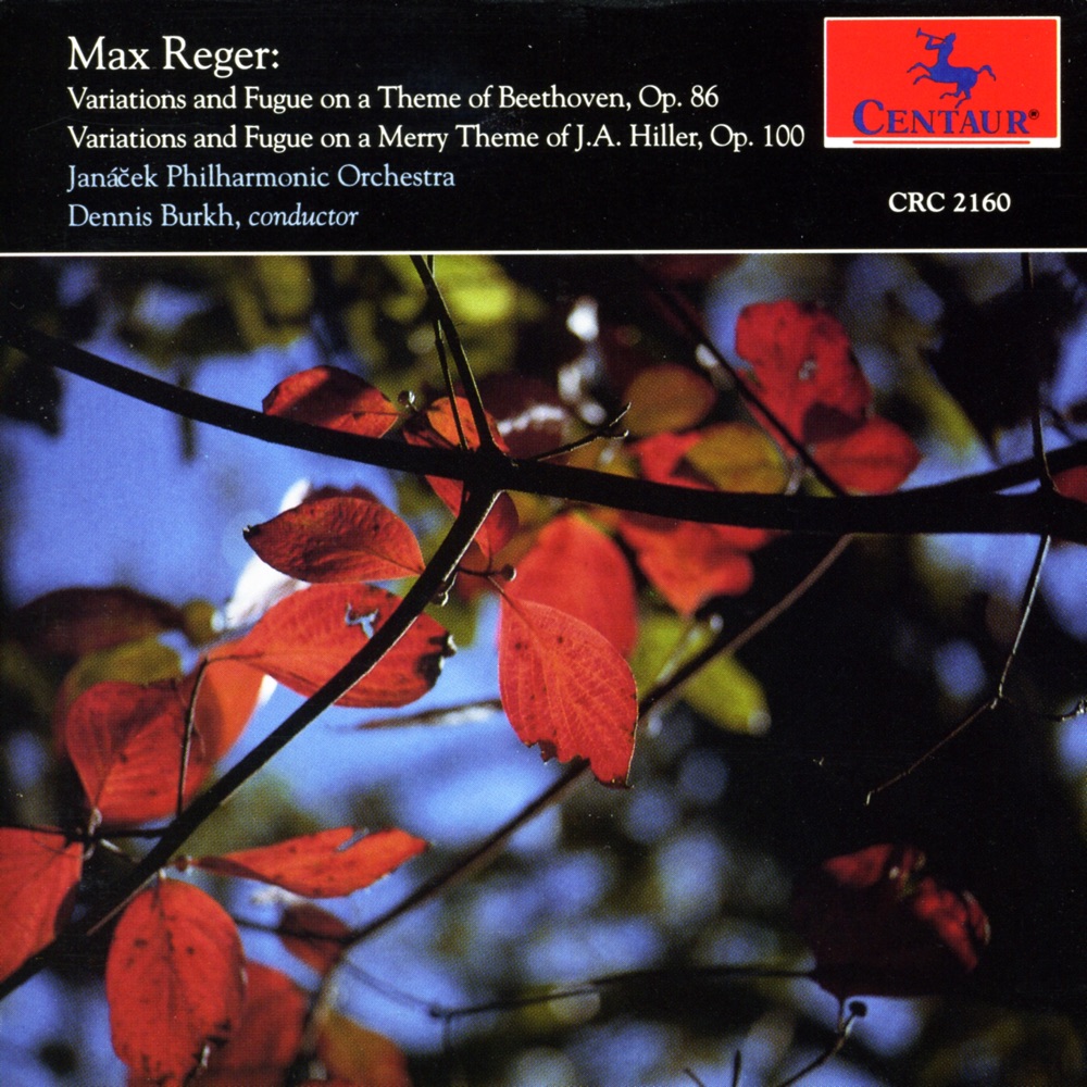 Обложка альбома «Reger: Variations and Fugue on a Theme of Beethoven - Variations and Fugue on a Theme of J.A. Hiller» — Dennis Burkh & Janáček Philharmonic Orchestra