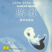 Music for Pregnant Women