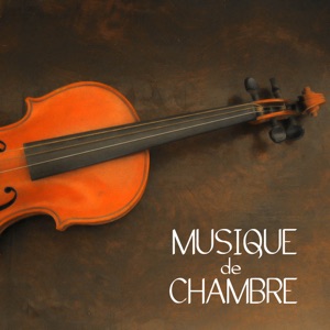 Pochette de « Sonate No. 5 pour clavecin, flute et violoncelle, K.14 » de Wolfgang Amadeus Mozart