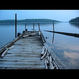 Squish Denis Turbide