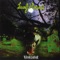Overtime (Digitally Remastered Version) - Leaf Hound lyrics