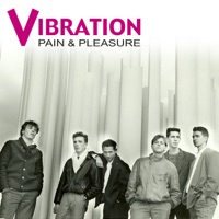 Pain & Pleasure - Vibration & Vibration