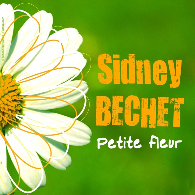 Petite fleur