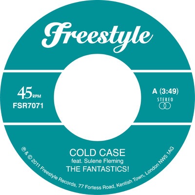 Cold Case (feat. Sulene Fleming) - Single