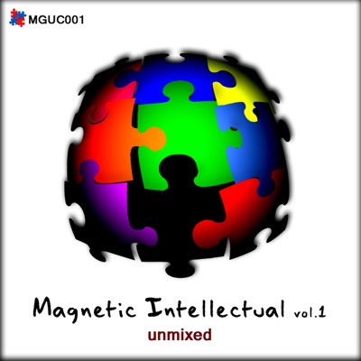 Magnetic Intellectual vol.1
