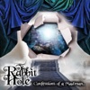 The Rabbit Hole...Confessions of a Madman