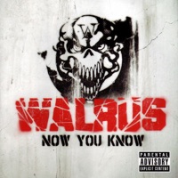 Now You Know - Walrus