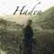 Haden - Acissej (feat. Spencer Hoover) artwork