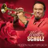 Walter Scholz - Fernando