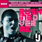 Rushing Over Me (Extended Mix)