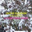 A Christmas Song