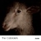 Shining - The Cabriolets lyrics