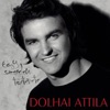 Attila Dolhai - Ö