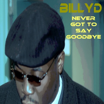 Never Got to Say Goodbye - Single