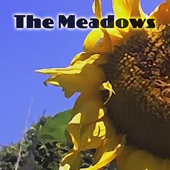 Sunflower (Digital Only)