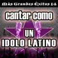 La camisa negra