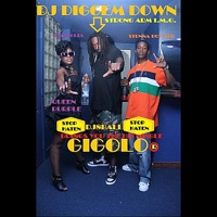 Gigolo (feat. Babii Gurl & Stunna Boy Bob) - Single - DJ Diggem Down