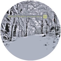 Wakeup Call / No Words Can Describe It - Seba & Paradox