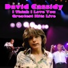 David Cassidy - Lyin' To Myself (Live)