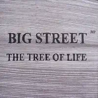 Invisible Protection — Big Street M.P.