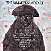 Concerto No. 20 for Piano and Orchestra in D Minor, K. 466: II. Romance