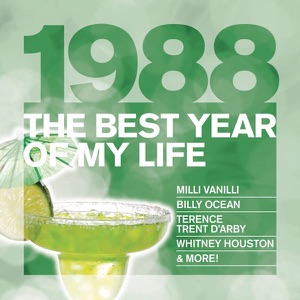 The Best Year of My Life: 1988