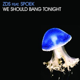 We Should Bang Tonight (Solo Remix) [feat. Spoek] ZDS