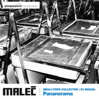 Pananorama - Smalltown Collective