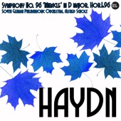 Haydn: Symphony No. 96 'Miracle' in D major, Hob.I:96 artwork