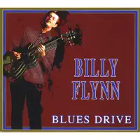 Blues Thru the Winter Time — Billy Flynn
