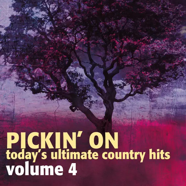Who Says You Can’t Go Home (The Bluegrass Tribute to Bon Jovi) — Pickin' On Series