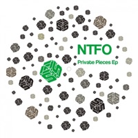 Private Pieces - Single - NTFO