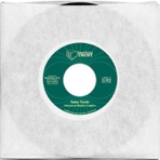 Salsa Verde B/w Pachanga Pistola - Single