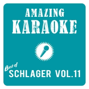Wir flogen einmal hinauf zu den Sternen (Karaoke Version) [Originally Performed By Oliver Haidt] - Amazing Karaoke