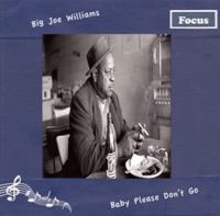 Baby Please Don't Go - Big Joe Williams