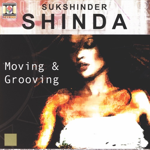 Madan Maddi & Sukshinder Shinda - Moving & Grooving