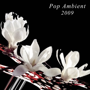Various Artists — Pop Ambient 2009