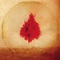 Oh I See - Adam Arcuragi lyrics