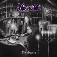 Noctum - The Fiddler