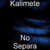 No Separa - Single