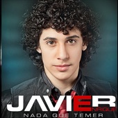 Nada Que Temer artwork