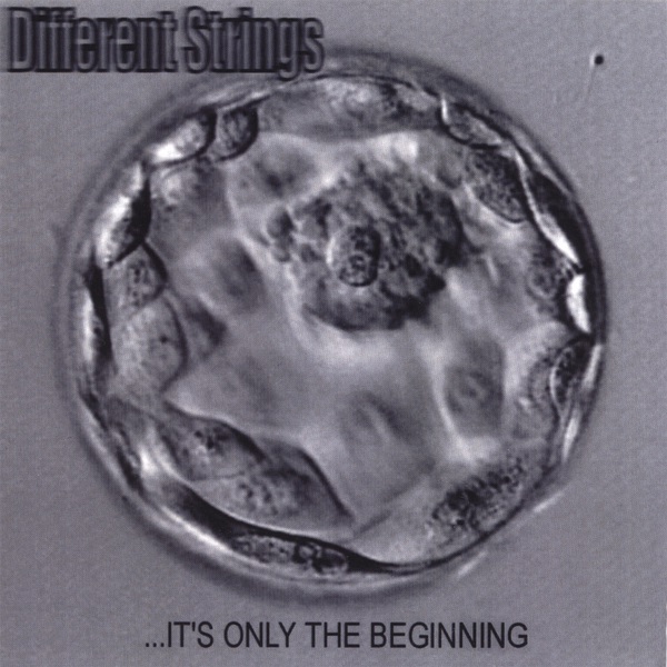...It's Only the Beginning album cover