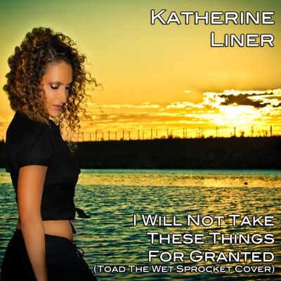 I Will Not Take These Things For Granted (Originally Performed by Toad The Wet Sprocket) - Single