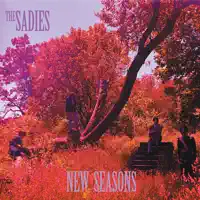 What's Left Behind — The Sadies